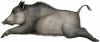 Springender Keiler als Logo von aufgehtsfreun.de